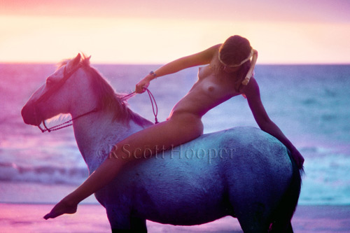 Nude on a Spanish horse on the beach at sunset