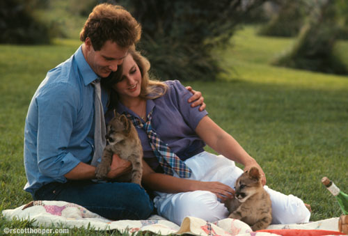 Image of couple with cougar kittens