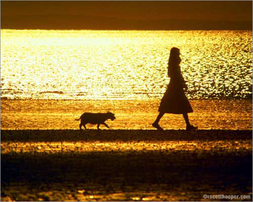 Photo of woman and dog at sunset on the beach