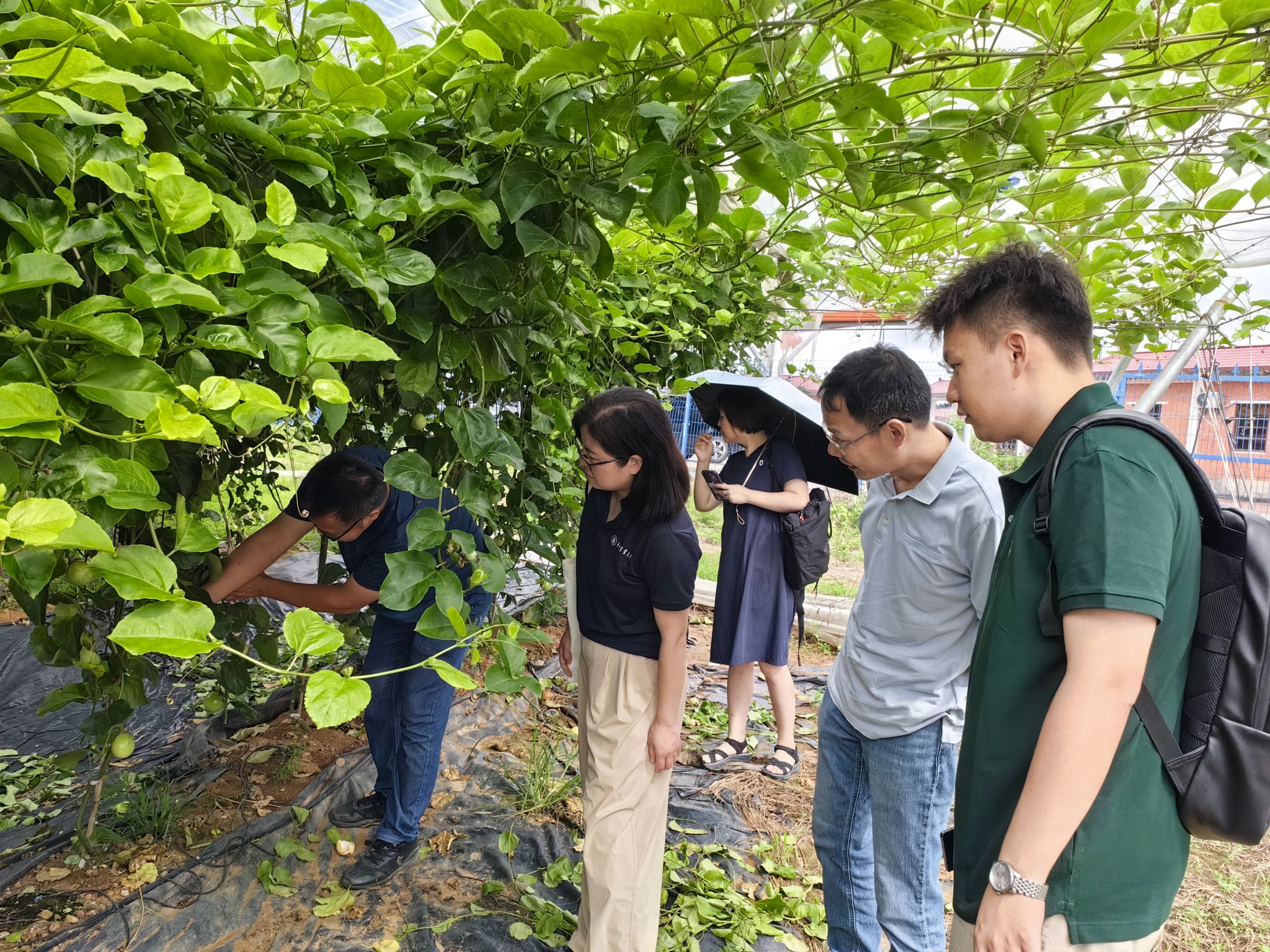 c9eda61aaeff7369512c8ec80a17c14c