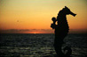 Photo of seashorse sculpture on beach in Puerta Vallarta